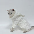 Load image into Gallery viewer, Autumn and Winter Knitted Warm Sweater for Pets
