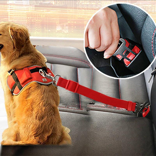 Dog Traction Belt