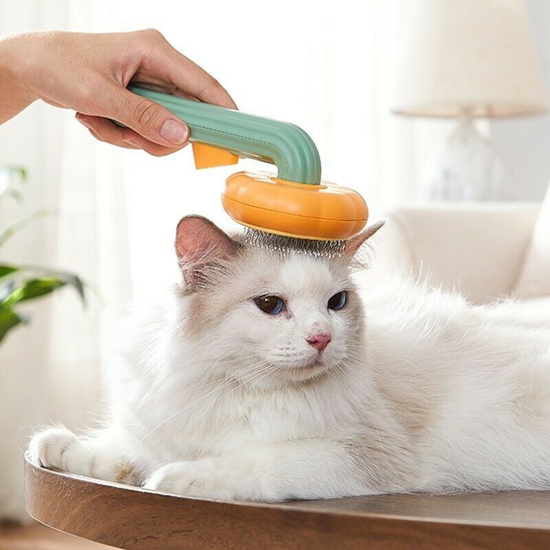 Pet Pumpkin Slicker Brush for Grooming Cats & Dogs