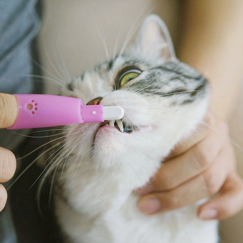 Cat Pet Finger Toothbrush