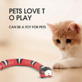 Load image into Gallery viewer, Interactive Electric Induction Snake Cat Toy
