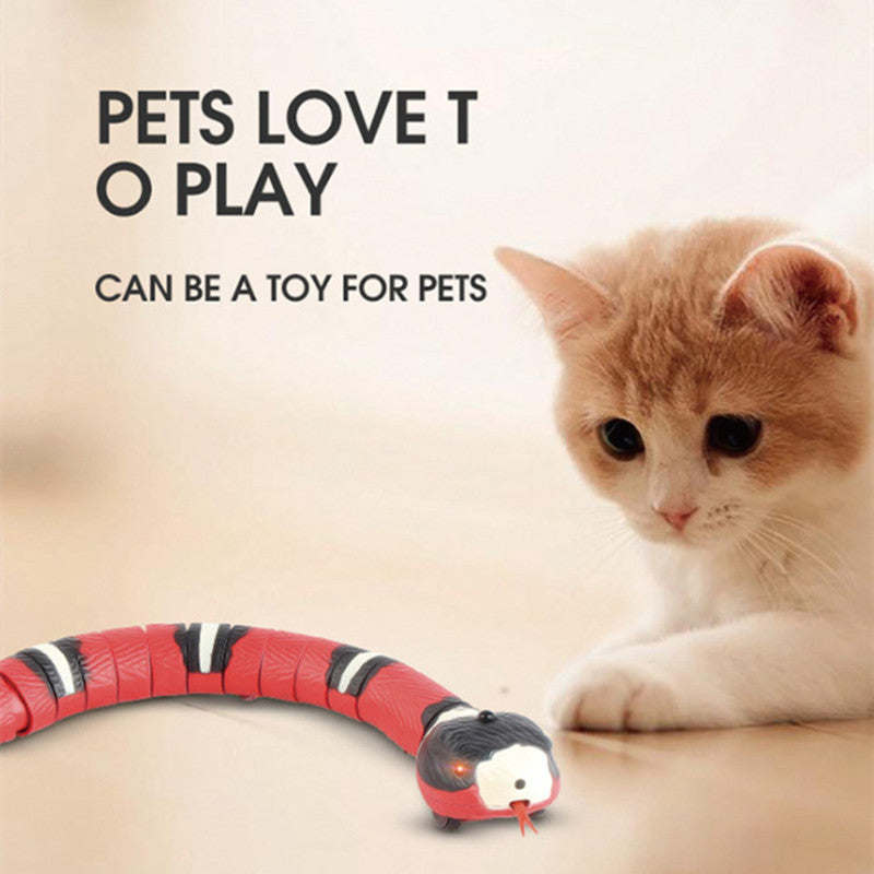 Interactive Electric Induction Snake Cat Toy