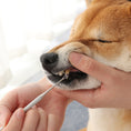 Load image into Gallery viewer, Pet Teeth Cleaning Tool
