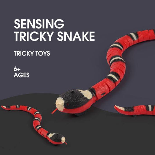 Interactive Electric Induction Snake Cat Toy